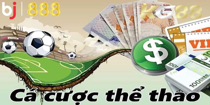 Thể thao BJ888 nổi bật với danh tiếng vững chắc,