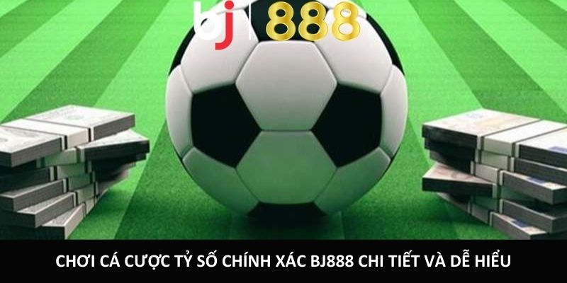 ca cuoc ty so chinh xac anh dai dien