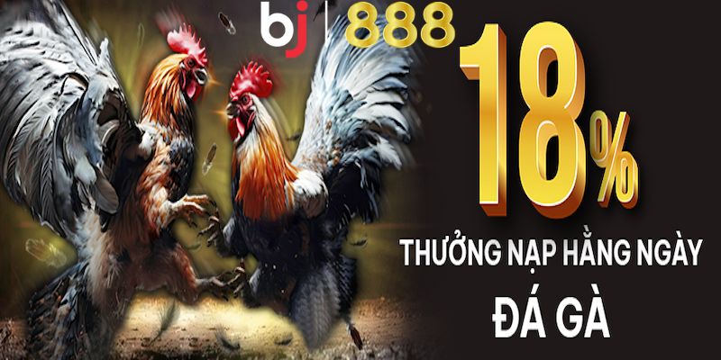 18 tien thuong nap lai cho da ga anh dai dien