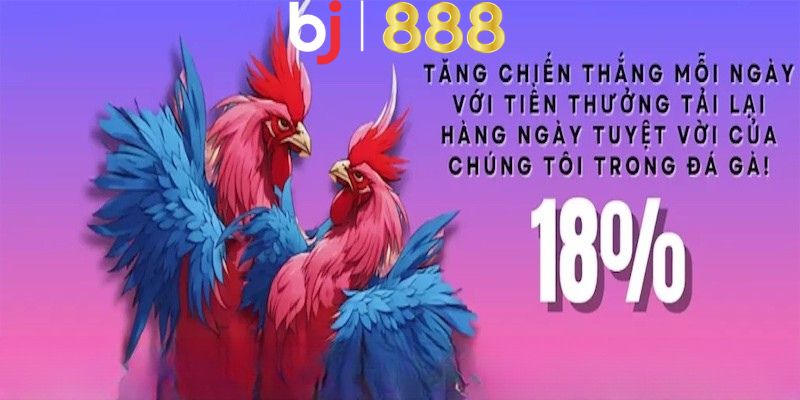 18% Tiền Thưởng Nạp Lại Cho Đá Gà - Cơ Hội Vàng Nhận Quà Lớn 18% Tiền Thưởng Nạp Lại Cho Đá Gà cũng có các điều khoản và điều kiện chung
