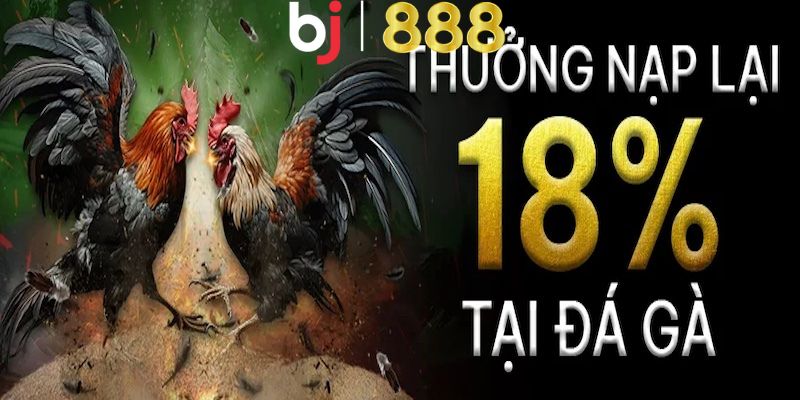 18% Tiền Thưởng Nạp Lại Cho Đá Gà - Cơ Hội Vàng Nhận Quà Lớn Lưu ý để được nhận khuyến mãi 18% Tiền Thưởng Nạp Lại Cho Đá Gà hợp lệ
