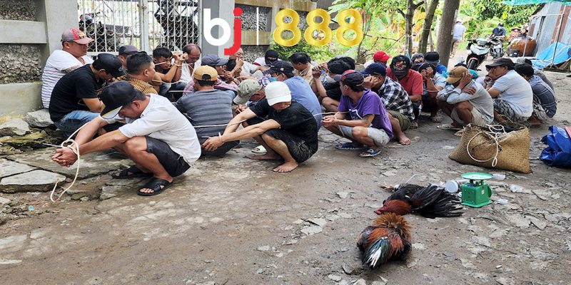 Đá Gà Bị Bắt Phạt Bao Nhiêu Và Có Bị Phạt Nặng Hay Không Liệu chơi đá gà bị bắt phạt bao nhiêu và có bị đi tù không?