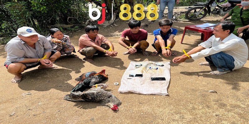 Đá Gà Bị Bắt Phạt Bao Nhiêu Và Có Bị Phạt Nặng Hay Không Đây là trò người chơi đặt cược vào kết quả thắng thua của những trận đấu gà