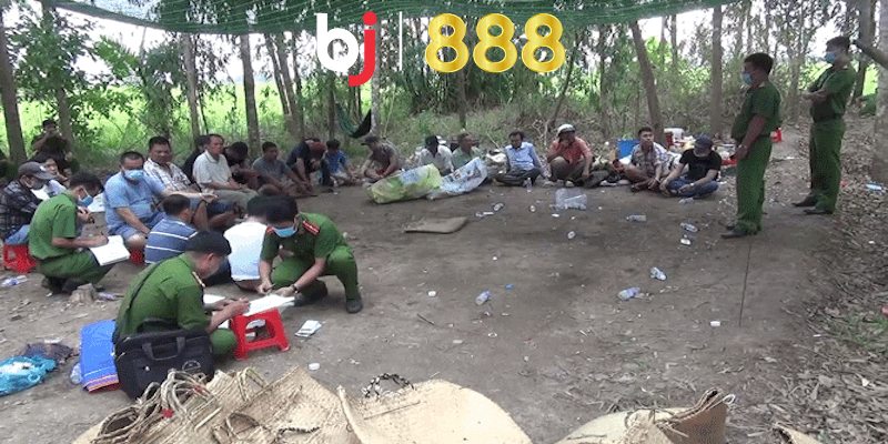 Đá Gà Bị Bắt Phạt Bao Nhiêu Và Có Bị Phạt Nặng Hay Không Nguyên nhân bị phạt khi đá gà là gì?