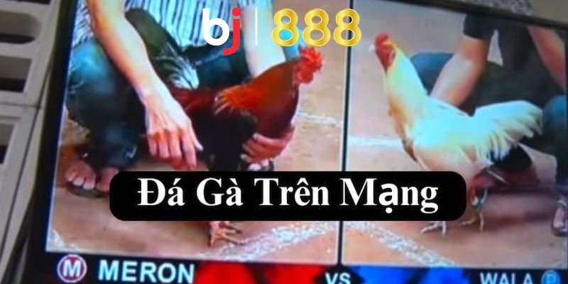 da ga mang la gi anh dai dien