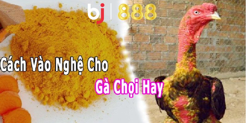 ga vao nghe bao lau thi da duoc anh dai dien