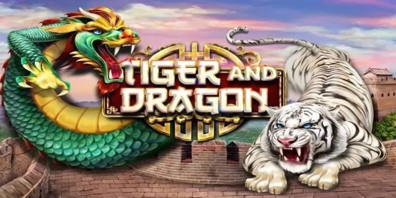 Cách chơi rồng hổ cho người mới dễ thắng Hướng dẫn chơi rồng cho người mới