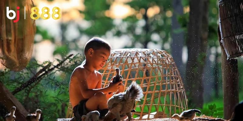 Kỹ thuật tắm gà chọi Kỹ thuật tắm gà chọi