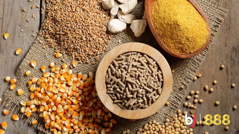 Thức ăn tăng cơ cho gà đá Thức ăn tăng cơ cho gà đá