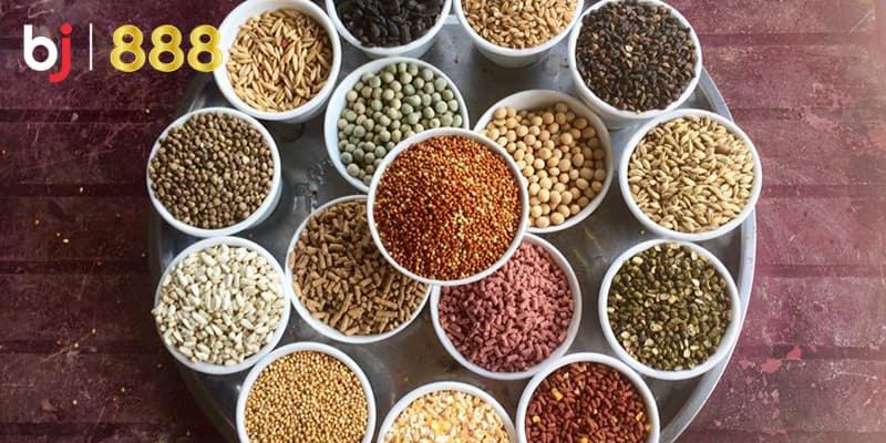 Thực phẩm bổ sung cho gà chọi Thực phẩm bổ sung cho gà chọi