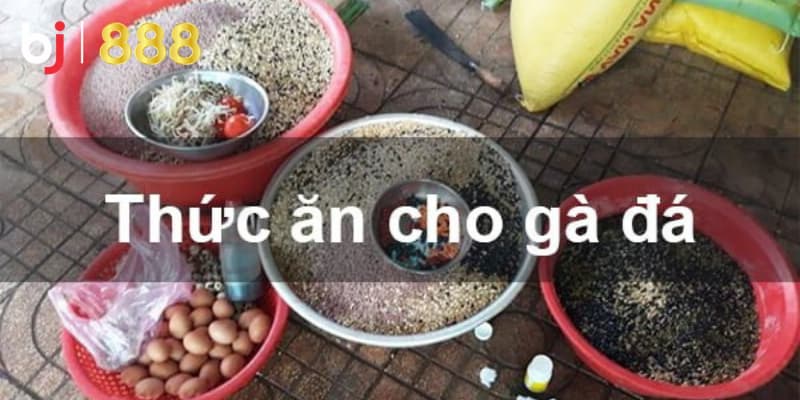 Thực phẩm bổ sung cho gà chọi Thực phẩm bổ sung cho gà chọi