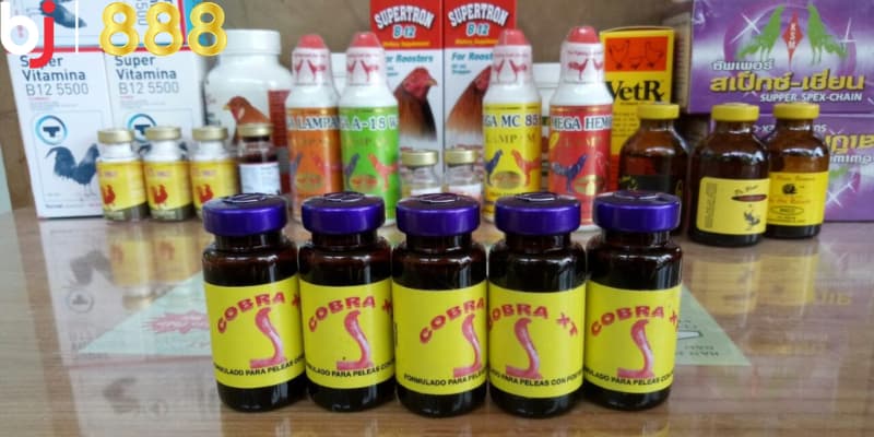 Thuốc tăng lực cho gà chọi Các tiêu chí chọn thuốc và kinh nghiệm sử dụng hiệu quả